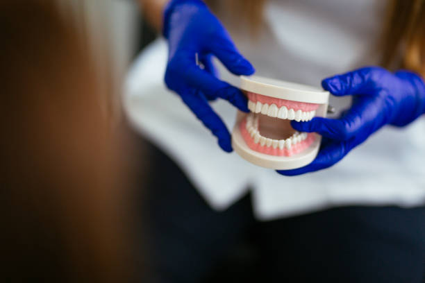 Best Dental Exams and Cleanings  in Columbia City, IN